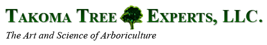 Takoma Tree Experts, LLC Takoma Tree Experts, LLC